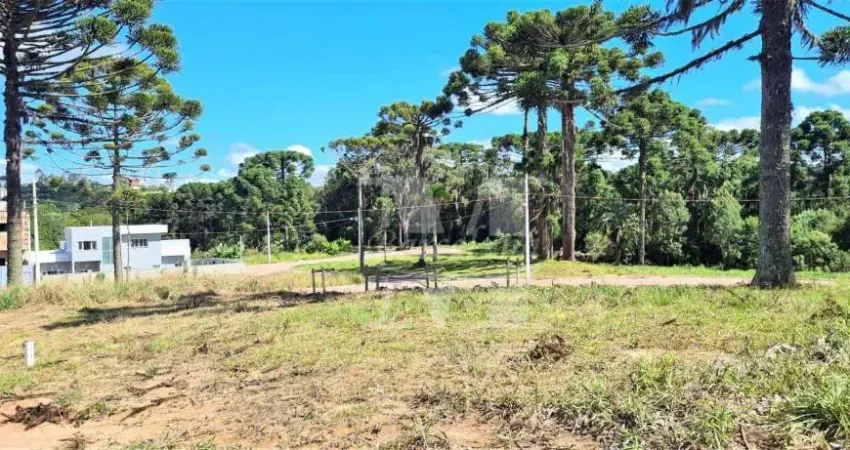 TERRENO EM QUATRO BARRAS.PERFEITO PARA SEU PROJETO PRÓXIMO DA NATUREZA ÁREA DE LAZER BOSQUE ECOPARK