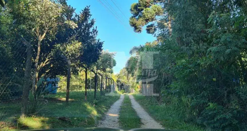 CHÁCARA EM CAMPO LARGO ESTRADA ITAMBÉ 3 CASAS RIO 2 NASCENTES.