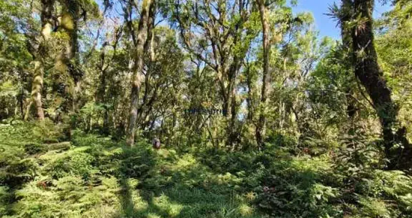 Terreno à venda na Estrada Morro Calçado, 1420, Morro Calçado, Canela