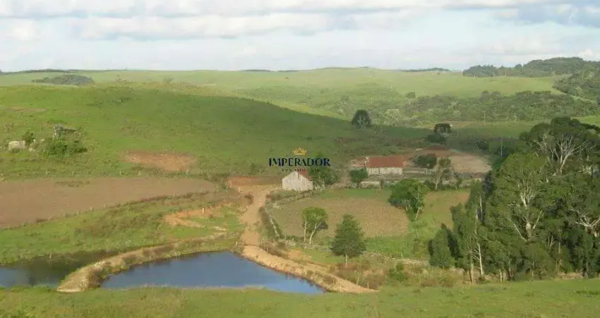 Chácara / sítio com 4 quartos à venda na Rs 476, 6, Eletra, São Francisco de Paula