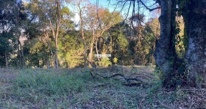 Terreno em condomínio fechado à venda na Municipal Vicente Menezes, 6946, Linha 40, Caxias do Sul