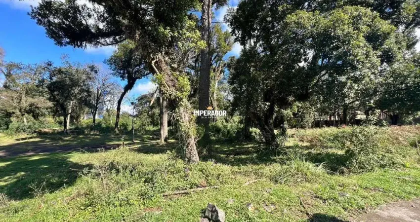 Terreno à venda na Rua Assunta Bolson da Luz, 3, Vila Verde, Caxias do Sul
