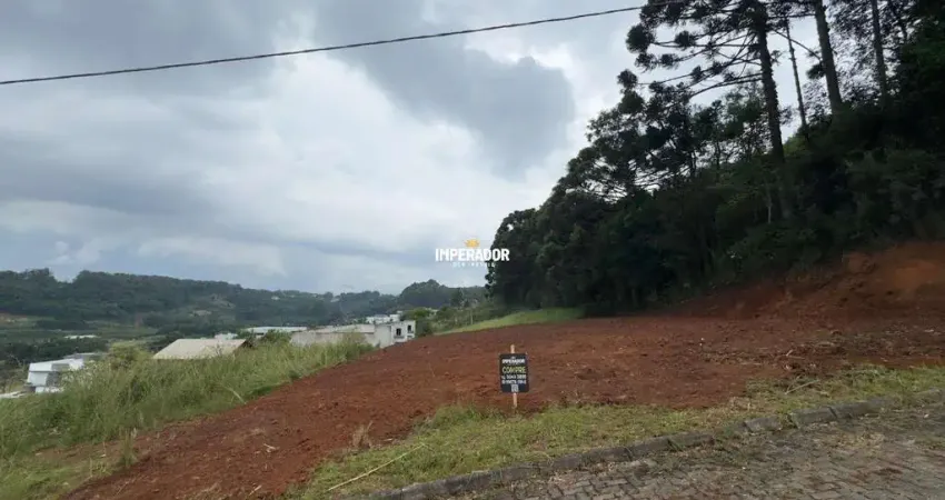 Terreno à venda na Rua David Piccoli, 122, Monte Bérico, Caxias do Sul