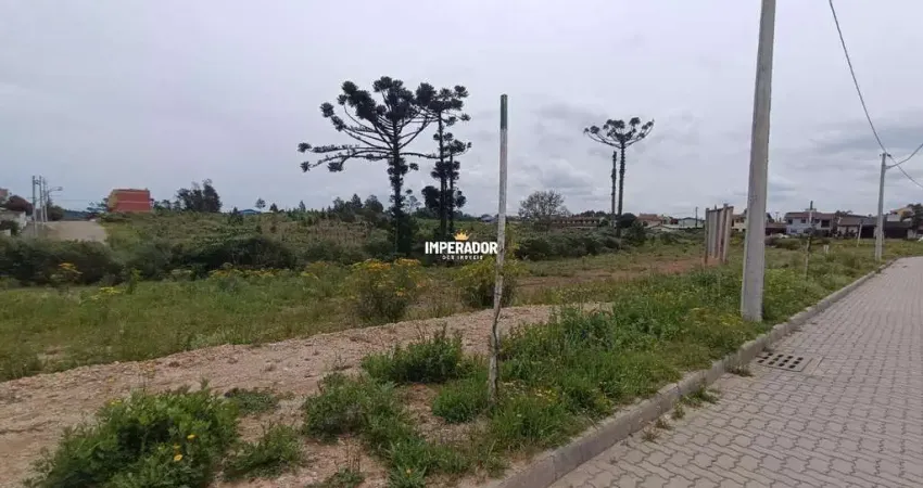 Terreno à venda na Gema Perini, 2, Desvio Rizzo, Caxias do Sul