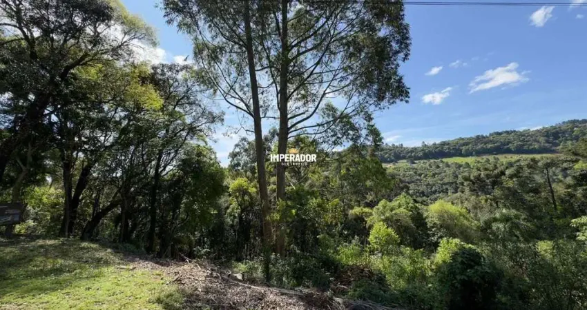Terreno em condomínio fechado à venda na Rua Travessão Thompson Flores, 3, Linha 40, Caxias do Sul