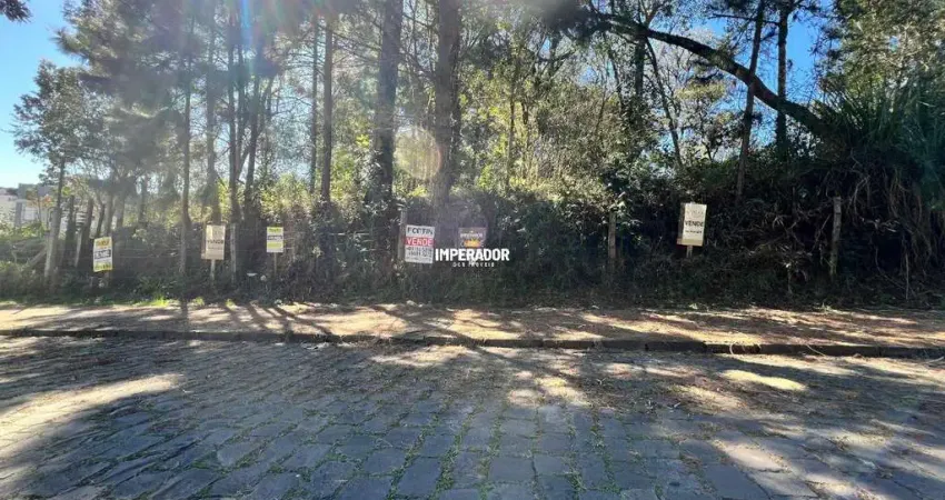 Terreno à venda na Rua Ruy José Bisol Filho, 1, Ana Rech, Caxias do Sul