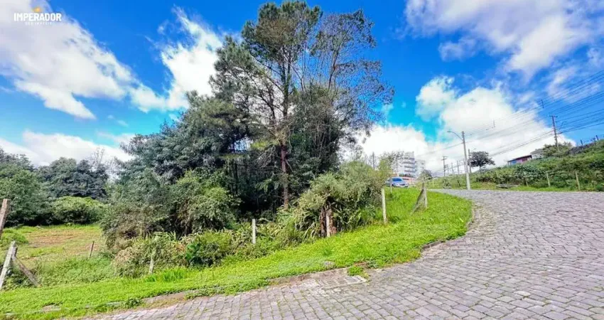 Terreno à venda na Rua Tereza Pezzi, 2, Panazzolo, Caxias do Sul