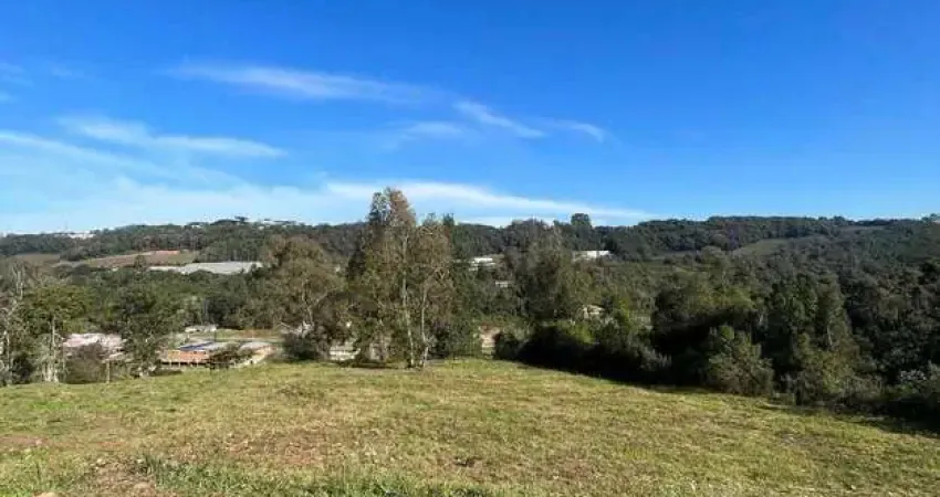 Terreno em condomínio fechado à venda na Estrada Municipal Vicente Menezes, 1, Linha 40, Caxias do Sul