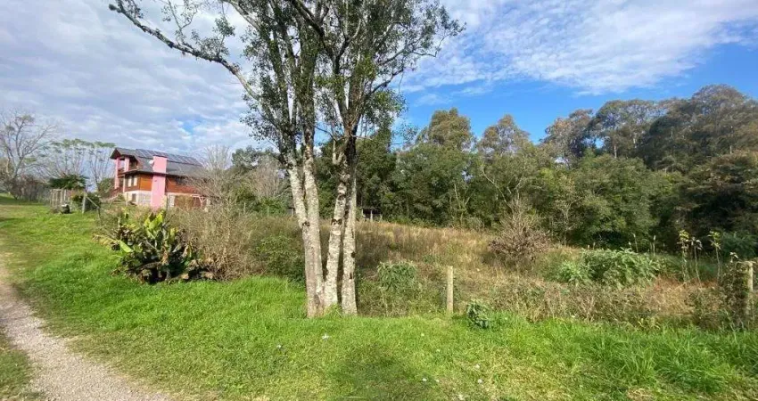 Terreno em condomínio fechado à venda na Municipal Vicente Menezes, 6946, Linha 40, Caxias do Sul
