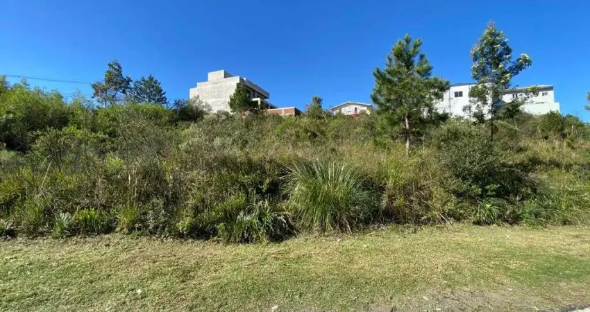Terreno à venda na Municipal do Imigrante, 3006, Nossa Senhora das Graças, Caxias do Sul
