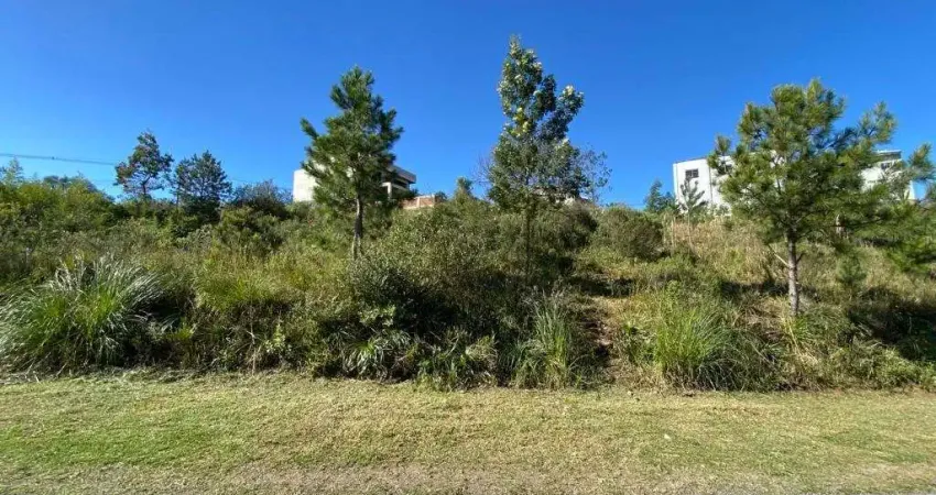 Terreno à venda na Municipal do Imigrante, 3006, Nossa Senhora das Graças, Caxias do Sul