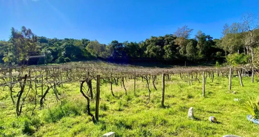 Chácara / sítio com 2 quartos à venda na Municipal João Boldo, 773, Pedancino, Caxias do Sul