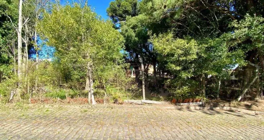 Terreno à venda na Rua João Pedro Hoffmann Pereira, 1, Saint Etienne, Caxias do Sul