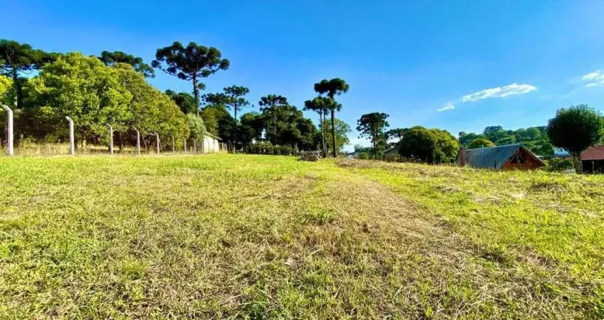 Terreno à venda na Sadi Boldo, 1, Nossa Senhora da Saúde, Caxias do Sul