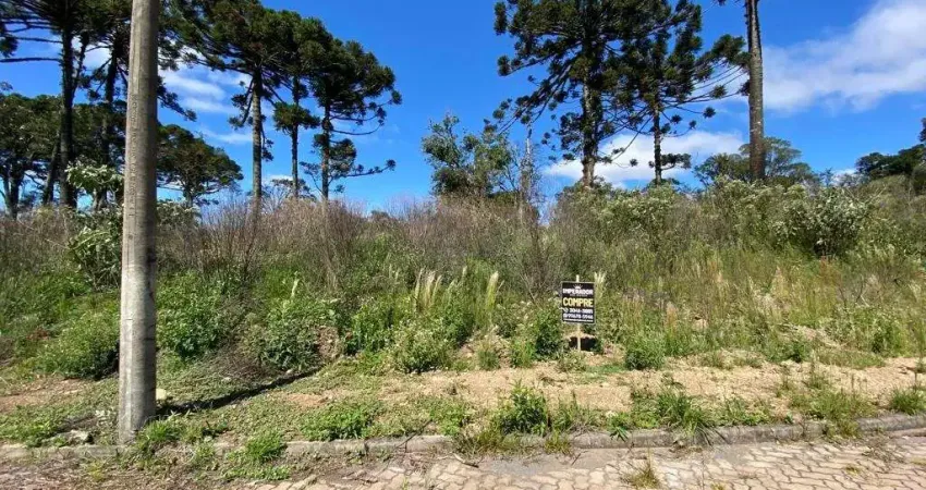 Terreno à venda na Angelo Pasinatto, 6, São Ciro, Caxias do Sul
