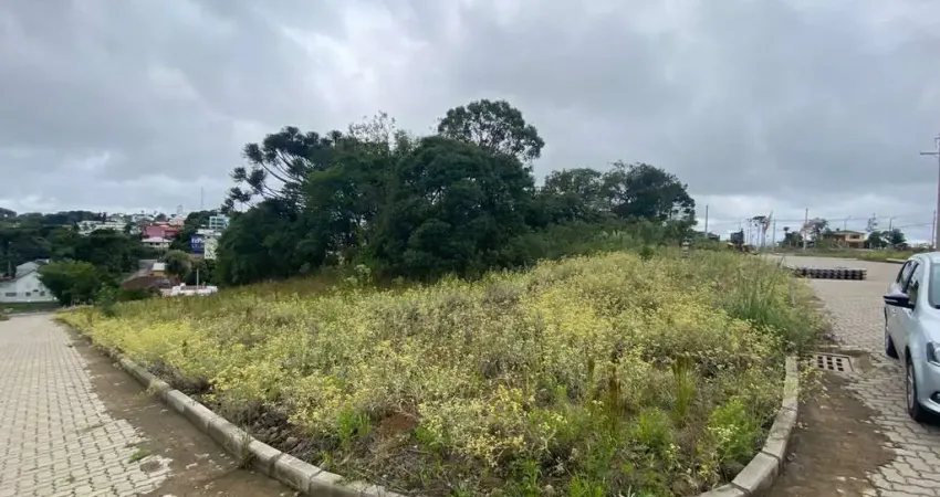 Terreno à venda na Avenida Rio Branco, 153, Ana Rech, Caxias do Sul