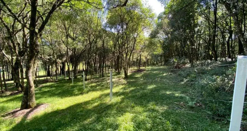 Terreno à venda na Angelo Pasinatto, 1650, São Ciro, Caxias do Sul