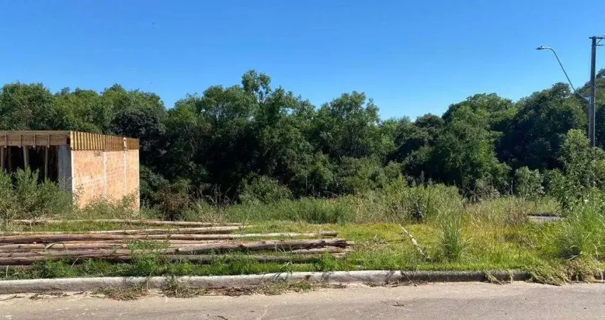 Terreno à venda na Rua José Arlindo Caran, 1, Monte Bérico, Caxias do Sul