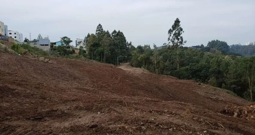 Terreno à venda na Rua Euclides Machado, 2, Desvio Rizzo, Caxias do Sul