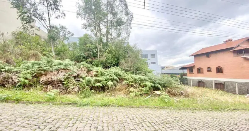 Terreno à venda na Rua Doutor Fredi Corrales Marin, 2, Cinqüentenário, Caxias do Sul