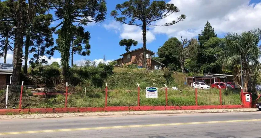 Terreno comercial à venda na Rua Conselheiros Dantas, 1001, Sagrada Família, Caxias do Sul