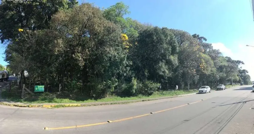 Terreno à venda na Rua João Vergani, 244, Cruzeiro, Caxias do Sul