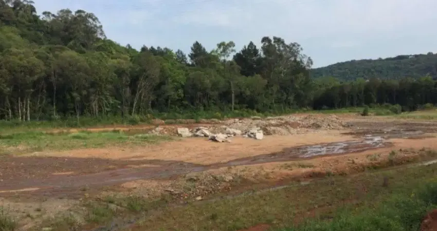 Terreno comercial à venda na Rodovia RSC-122, 44, Linha 40, Caxias do Sul