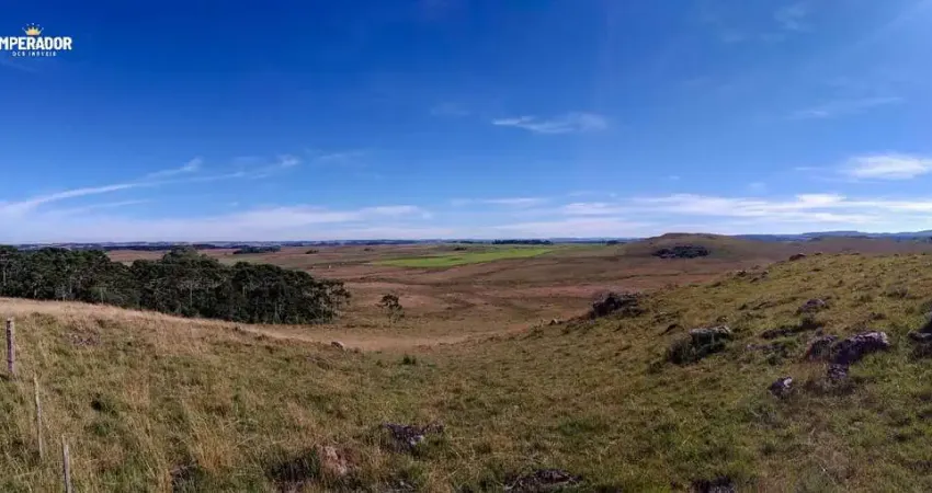 Terreno à venda na Br 453, 1, Tainhas, São Francisco de Paula