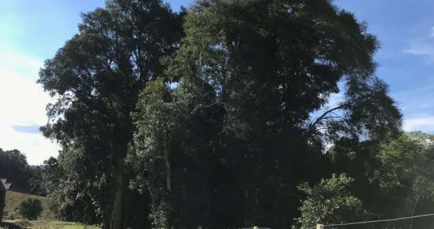 Terreno à venda na Rua Dionysio Adami, 11, Nossa Senhora das Graças, Caxias do Sul