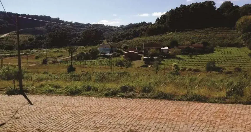 Terreno à venda na Estrada Municipal Avelina Tomazzoni Piccoli, 1, Monte Bérico, Caxias do Sul