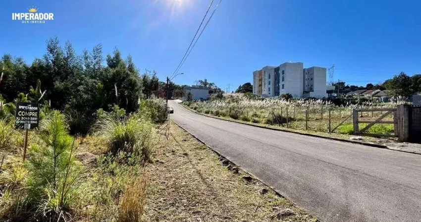 Terreno à venda na Rua Manoel Francisco dos Santos, 1, São Luiz, Caxias do Sul