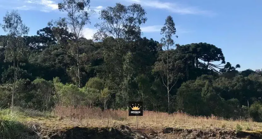 Terreno à venda na Rua Luiz Rossato Primo, 1, Salgado Filho, Caxias do Sul