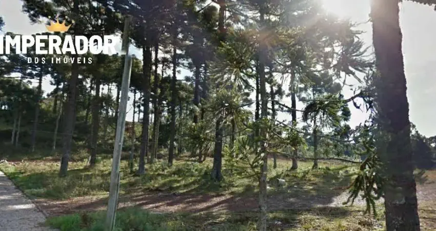 Terreno à venda na Rua José Bertelli, 1, Salgado Filho, Caxias do Sul