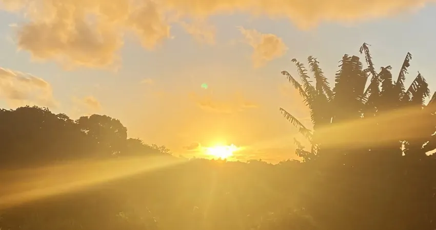 Terreno à venda na Rua João de Souza, 654, Centro, Itacaré