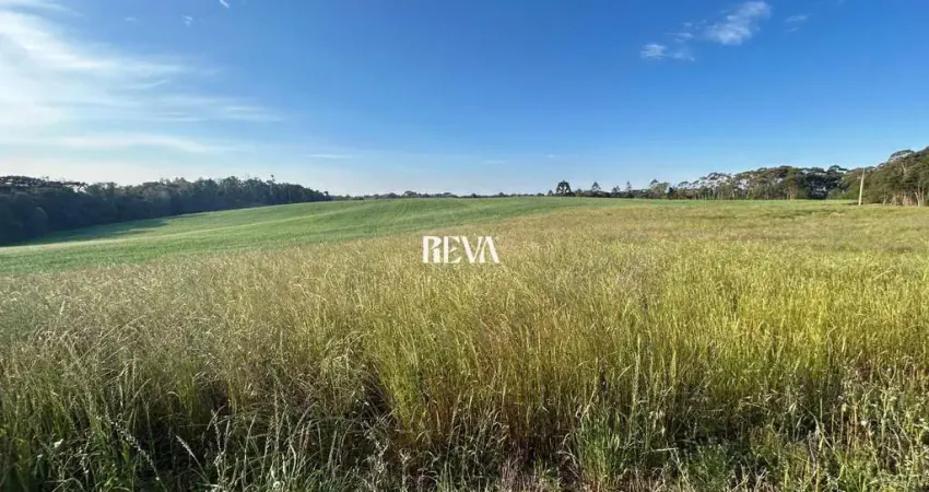 Terreno à venda na Estrada das Flores - Contenda, S N, Campo das Flores, Tijucas do Sul