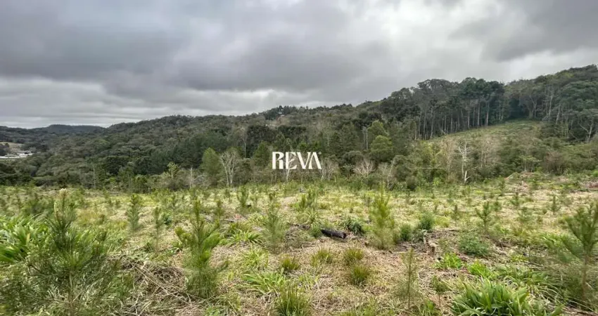 Terreno à venda na Área Rural, S N, Zona Rural, Mandirituba