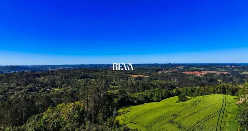 Terreno à venda na Estrada Campina dos Maia, 00, Campina dos Maias, Piên