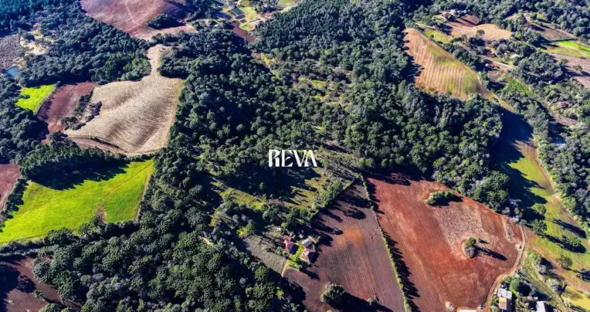Chácara / sítio com 3 quartos à venda na Rua Prof Alice Ferreira de Melo - Campestre, 455, Zona Rural, Tijucas do Sul