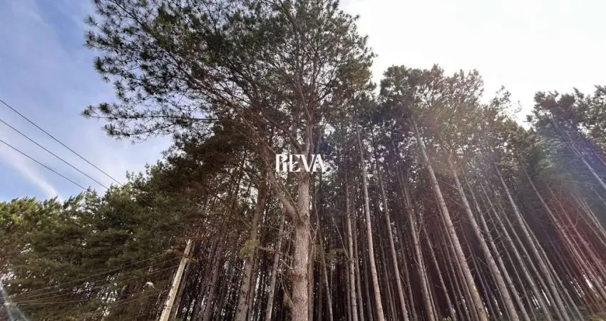 Terreno à venda na Estrada Sobrado, 00, Zona Rural, Agudos do Sul