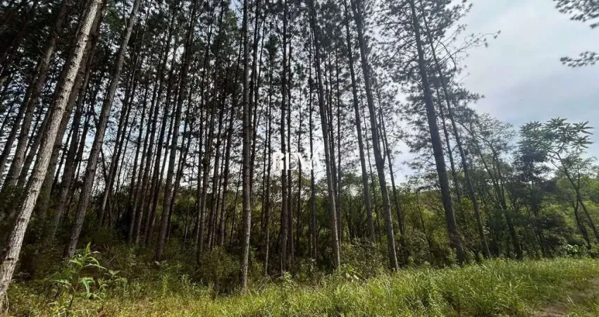 Terreno à venda na Estrada Principal Sobrado, 00, Zona Rural, Agudos do Sul