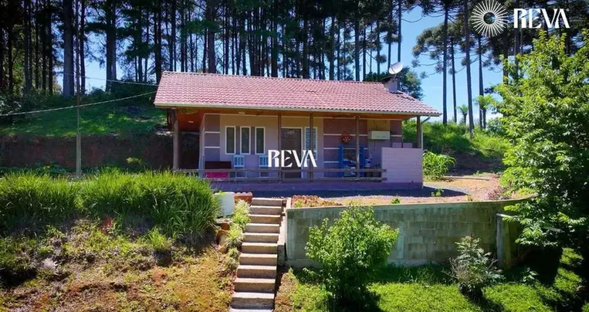 Chácara / sítio com 2 quartos à venda na Estrada do Picacinho, 00, Zona Rural, Piên