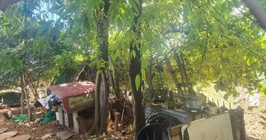 Chácara / sítio à venda no Jardim Ipiranga, Americana