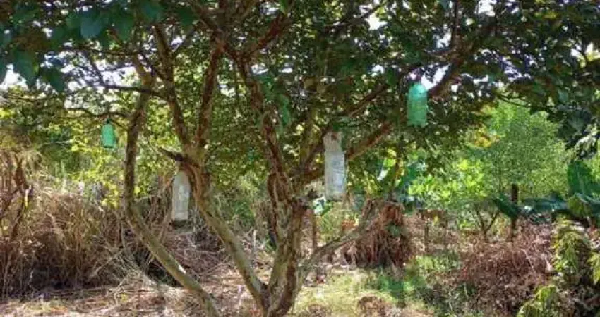 Casa com 2 quartos à venda no Parque Universitário, Americana 