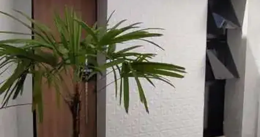 Casa com 2 quartos à venda no Jardim da Mata, Americana 