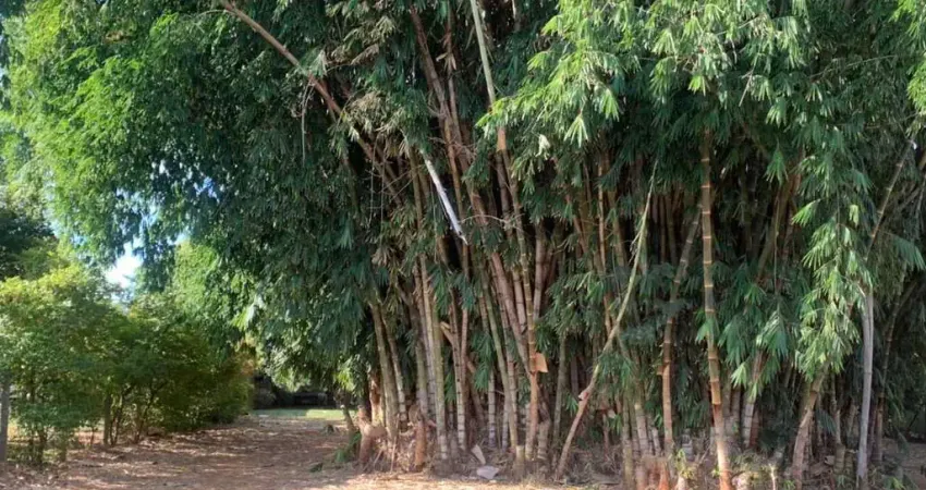 Chácara / sítio com 2 quartos à venda no Jardim Marajoara, Nova Odessa 