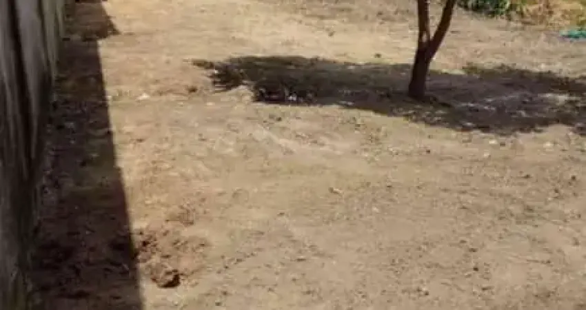 Chácara / sítio à venda no Jardim da Balsa I, Americana 