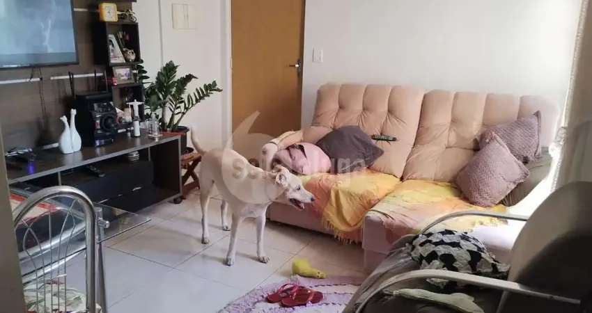 Apartamento à venda em americana sp | 2 dorms, 55m², r$183mil