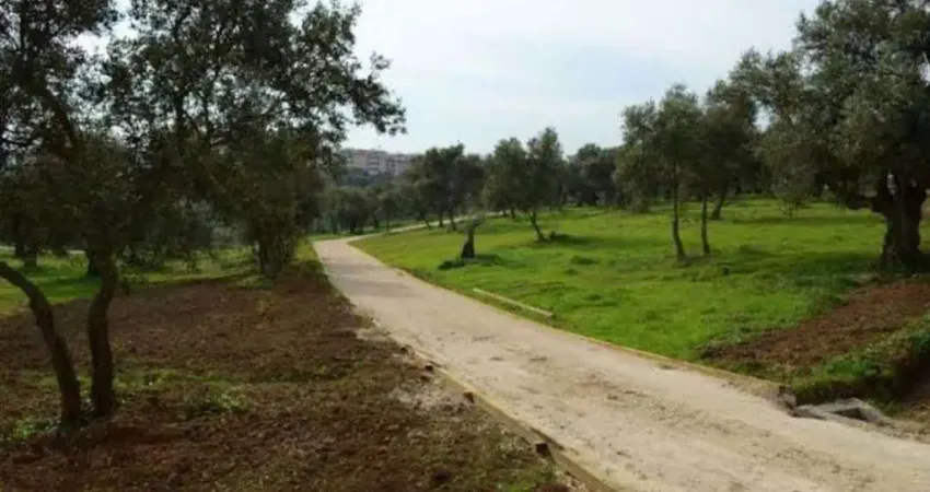 Chácara / sítio à venda no Chácaras Acapulco, Nova Odessa 