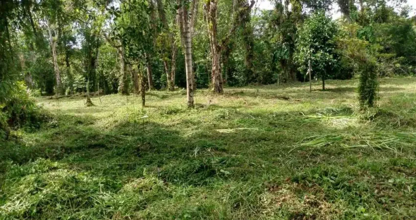 Terreno à venda no Parque Vergara, Itanhaém