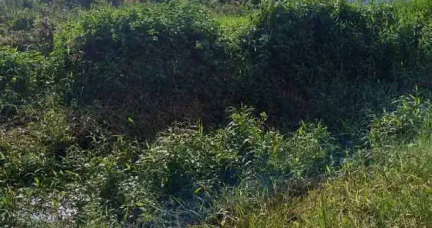 Terreno à venda no jardim Somar, Peruíbe 